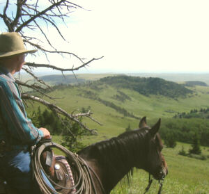 Willow Lane Ranch, Alberta - Keith enjoys the view